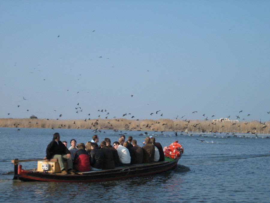 Paseo en barca Albumar.es vista pájaros volando